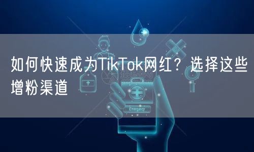 如何快速成为TikTok网红？选择这些增粉渠道