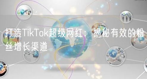 打造TikTok超级网红：揭秘有效的粉丝增长渠道