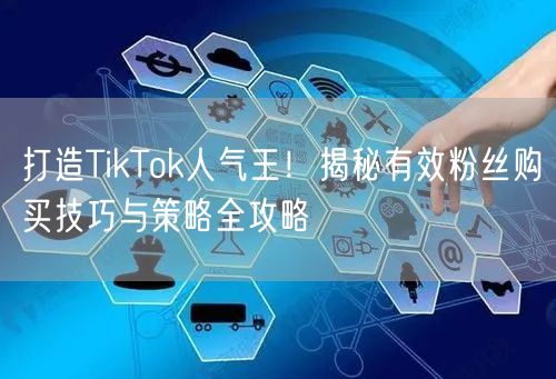 打造TikTok人气王！揭秘有效粉丝购买技巧与策略全攻略