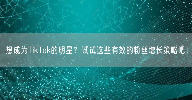 想成为TikTok的明星？试试这些有效的粉丝增长策略吧！