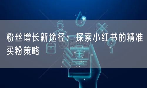 粉丝增长新途径：探索小红书的精准买粉策略