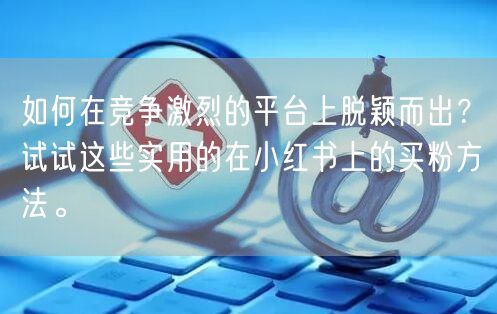 如何在竞争激烈的平台上脱颖而出？试试这些实用的在小红书上的买粉方法。