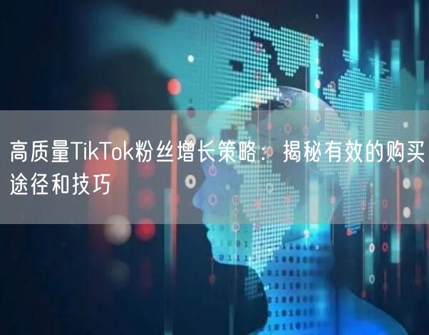 TikTok粉丝增长指南：高质量粉丝购买途径与实操技巧