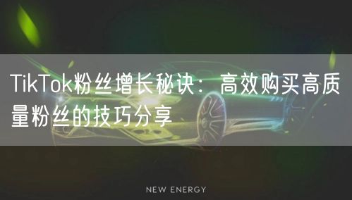 TikTok粉丝增长秘诀：高效购买高质量粉丝的技巧分享