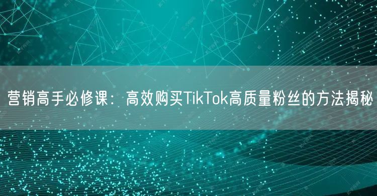 营销高手必修课：高效购买TikTok高质量粉丝的方法揭秘