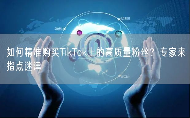 如何精准购买TikTok上的高质量粉丝？专家来指点迷津