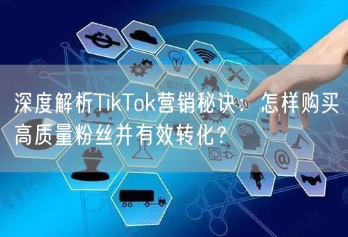 深度解析TikTok营销秘诀：怎样购买高质量粉丝并有效转化？