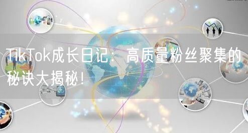 TikTok成长日记：高质量粉丝聚集的秘诀大揭秘！