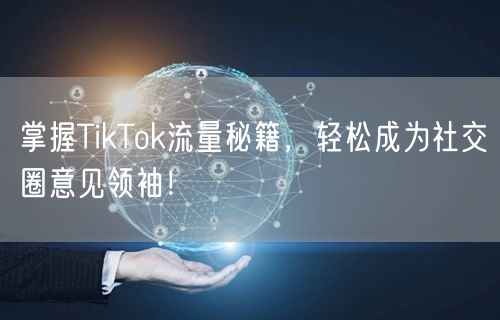 掌握TikTok流量秘籍，轻松成为社交圈意见领袖！