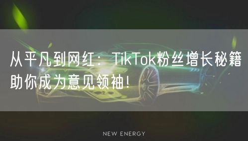 从平凡到网红：TikTok粉丝增长秘籍助你成为意见领袖！
