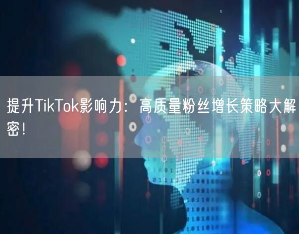 提升TikTok影响力：高质量粉丝增长策略大解密！