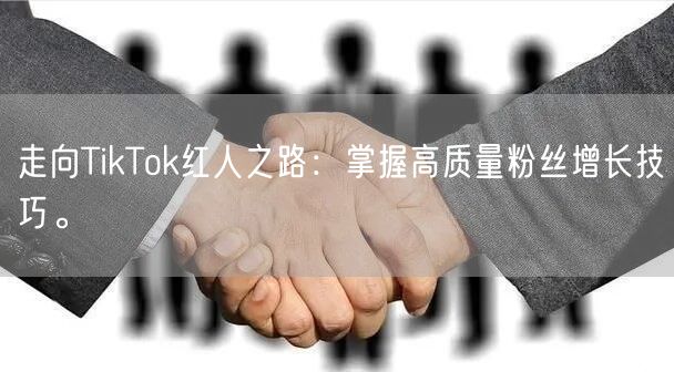 走向TikTok红人之路：掌握高质量粉丝增长技巧。