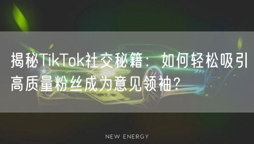 揭秘TikTok社交秘籍：如何轻松吸引高质量粉丝成为意见领袖？