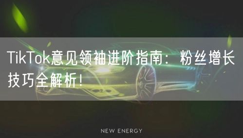 TikTok意见领袖进阶指南：粉丝增长技巧全解析！