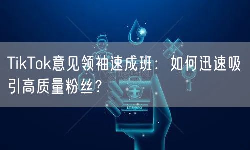 TikTok意见领袖速成班：如何迅速吸引高质量粉丝？