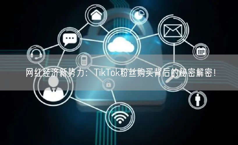 网红经济新势力：TikTok粉丝购买背后的秘密解密！