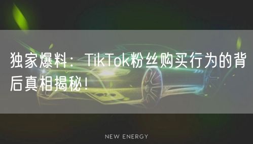 独家爆料：TikTok粉丝购买行为的背后真相揭秘！