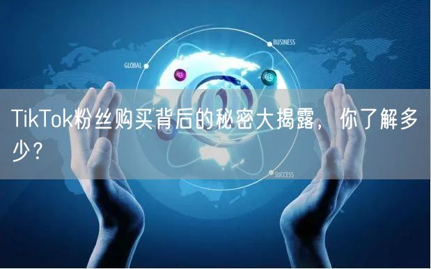 TikTok粉丝购买背后的秘密大揭露，你了解多少？