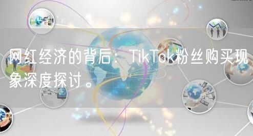网红经济的背后：TikTok粉丝购买现象深度探讨。