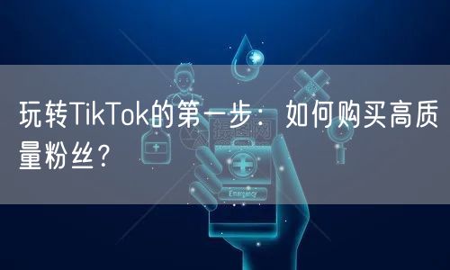 玩转TikTok的第一步：如何购买高质量粉丝？