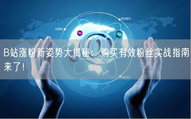 B站涨粉新姿势大揭秘：购买有效粉丝实战指南来了！