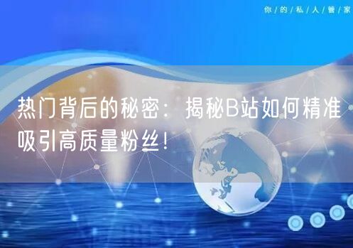热门背后的秘密：揭秘B站如何精准吸引高质量粉丝！