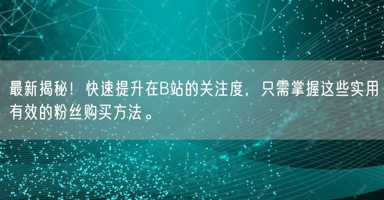 最新揭秘！快速提升在B站的关注度，只需掌握这些实用有效的粉丝购买方法。