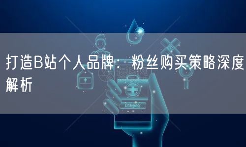 打造B站个人品牌：粉丝购买策略深度解析