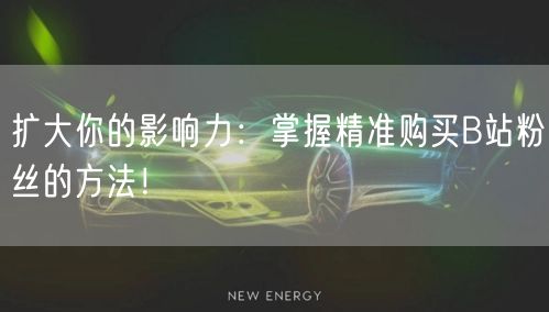 扩大你的影响力：掌握精准购买B站粉丝的方法！