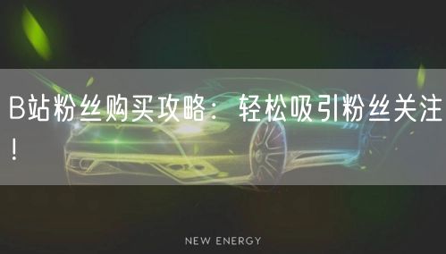 B站粉丝购买攻略：轻松吸引粉丝关注！