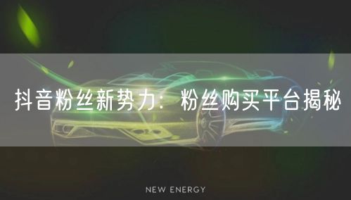 抖音粉丝新势力：粉丝购买平台揭秘