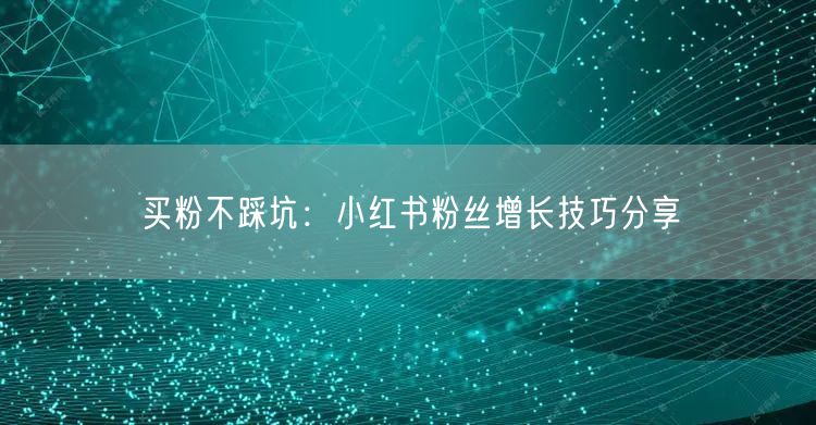 买粉不踩坑：小红书粉丝增长技巧分享