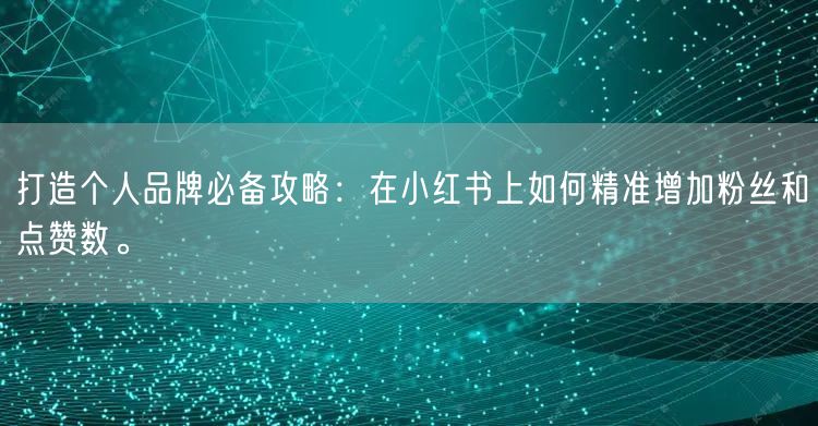 打造个人品牌必备攻略：在小红书上如何精准增加粉丝和点赞数。