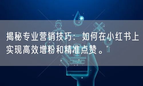 揭秘专业营销技巧：如何在小红书上实现高效增粉和精准点赞。