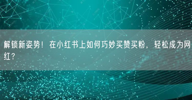解锁新姿势！在小红书上如何巧妙买赞买粉，轻松成为网红？