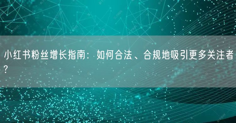 小红书粉丝增长指南：如何合法、合规地吸引更多关注者?