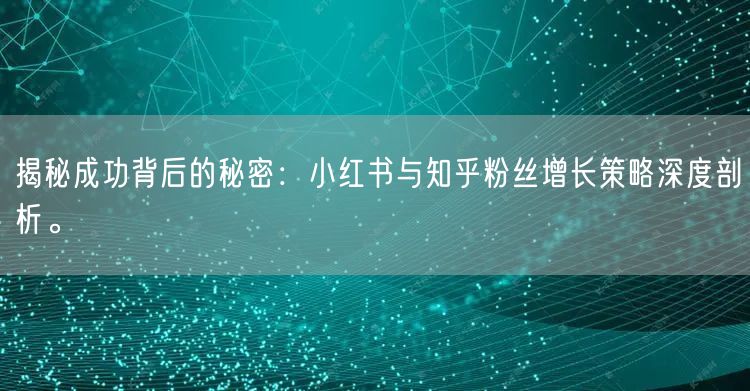 揭秘成功背后的秘密：小红书与知乎粉丝增长策略深度剖析。