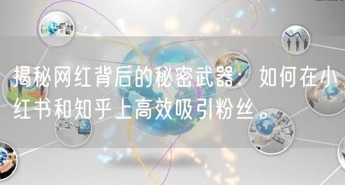 揭秘网红背后的秘密武器：如何在小红书和知乎上高效吸引粉丝。