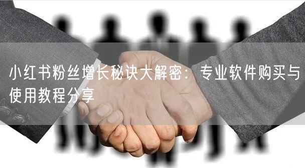 小红书粉丝增长秘诀大解密：专业软件购买与使用教程分享