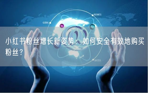 小红书粉丝增长新姿势：如何安全有效地购买粉丝？