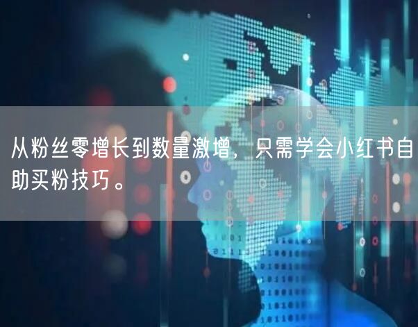 从粉丝零增长到数量激增，只需学会小红书自助买粉技巧。