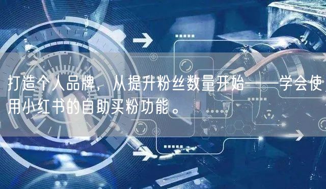打造个人品牌，从提升粉丝数量开始——学会使用小红书的自助买粉功能。