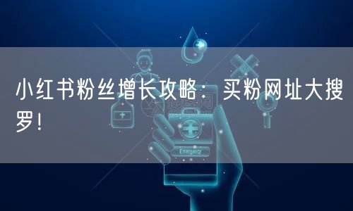 小红书粉丝增长攻略：买粉网址大搜罗！