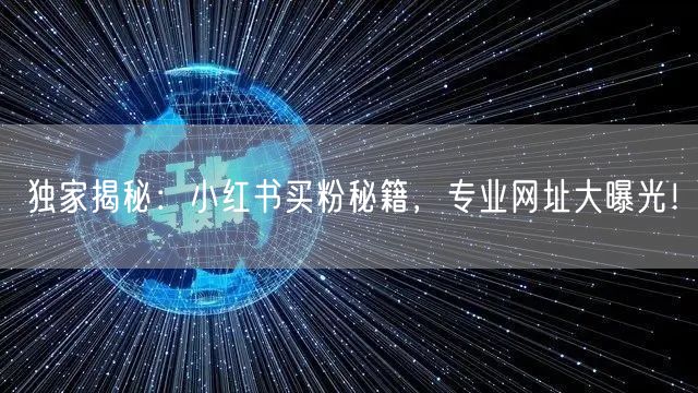 独家揭秘：小红书买粉秘籍，专业网址大曝光！
