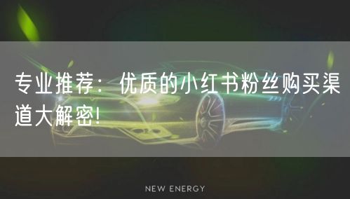 专业推荐：优质的小红书粉丝购买渠道大解密!